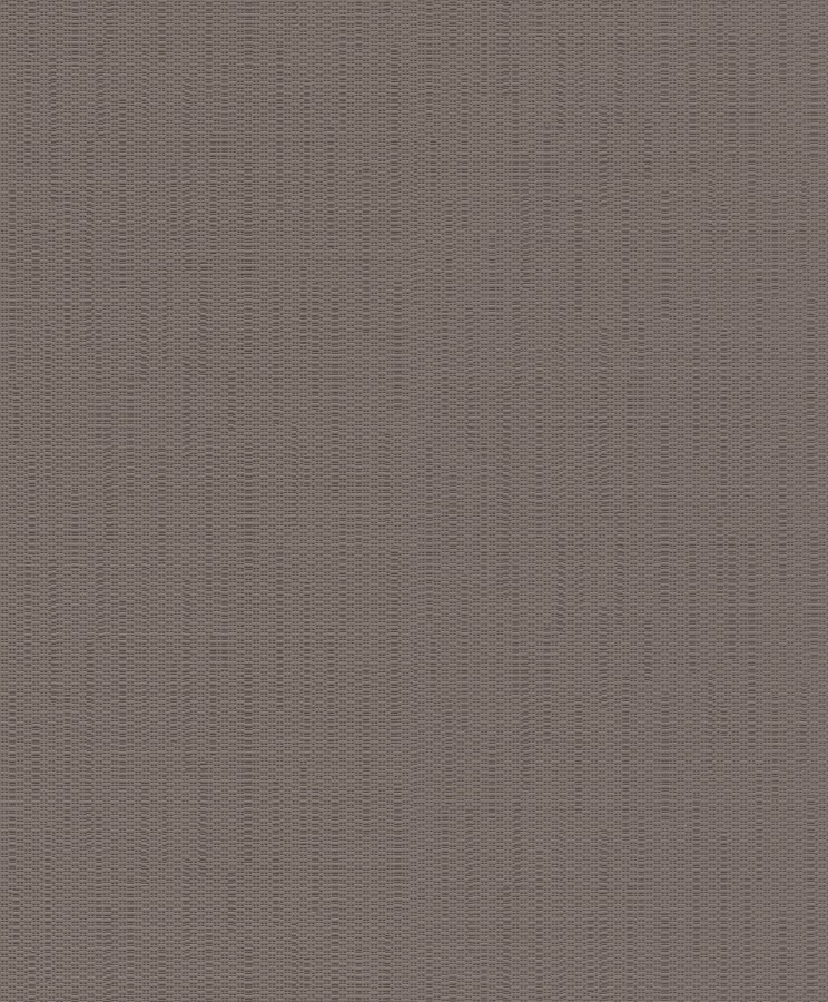 796049