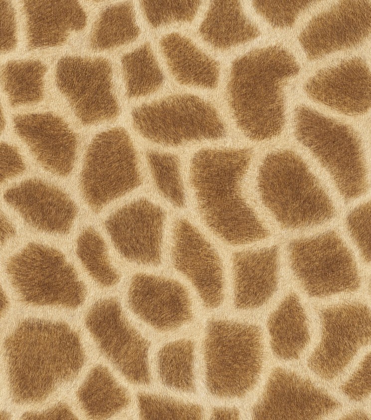 422801