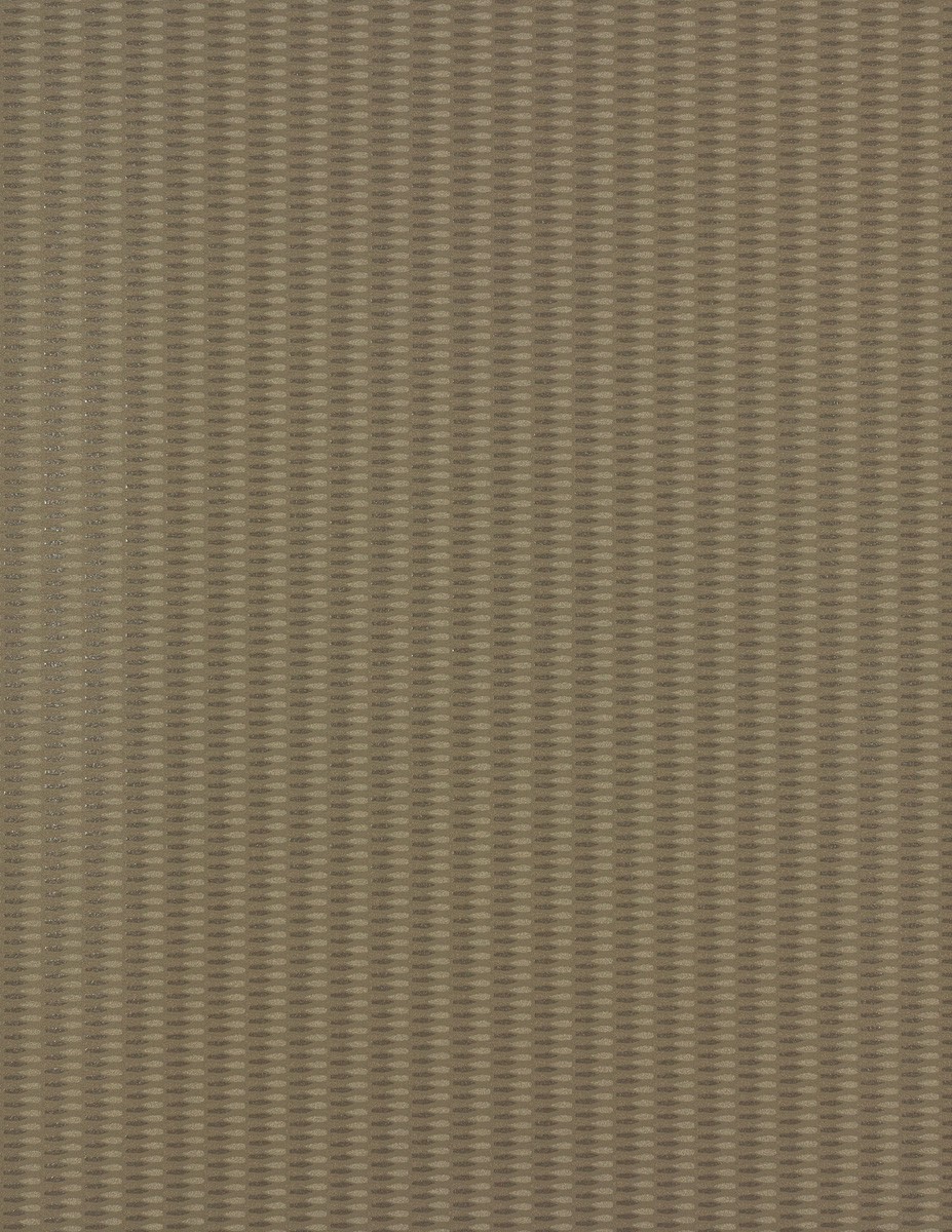 55031