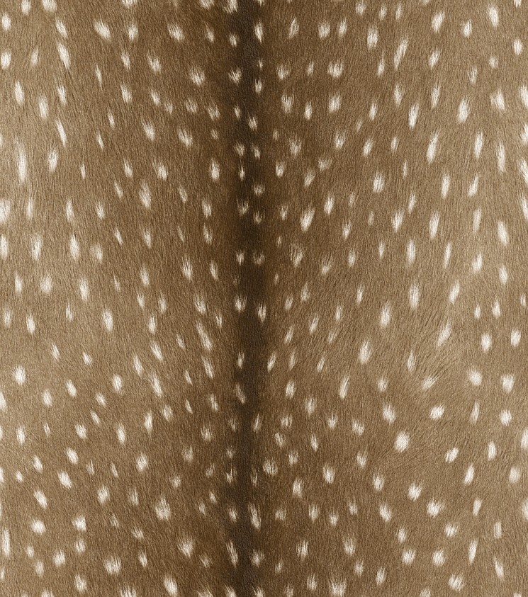 514810