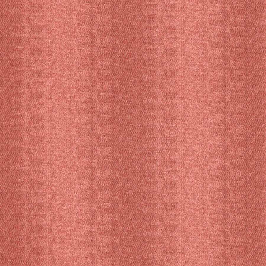 436204