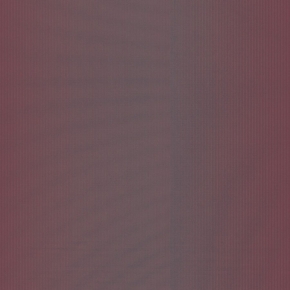 51109