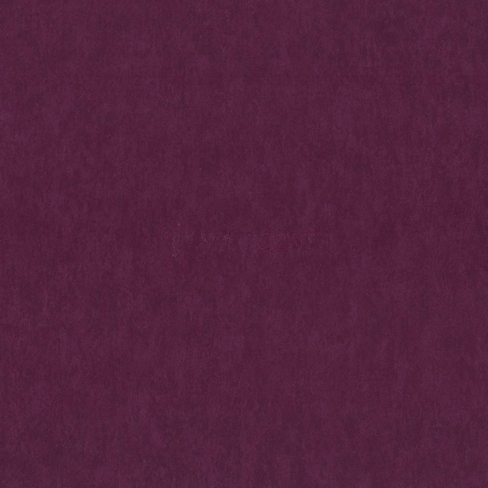 02422-50
