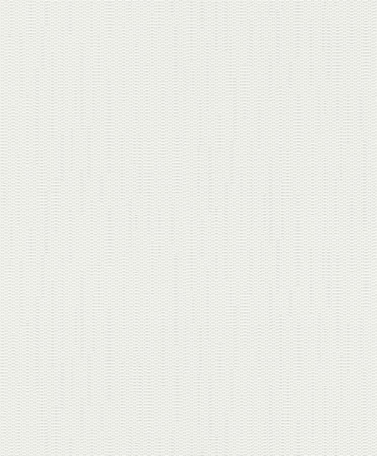 795905