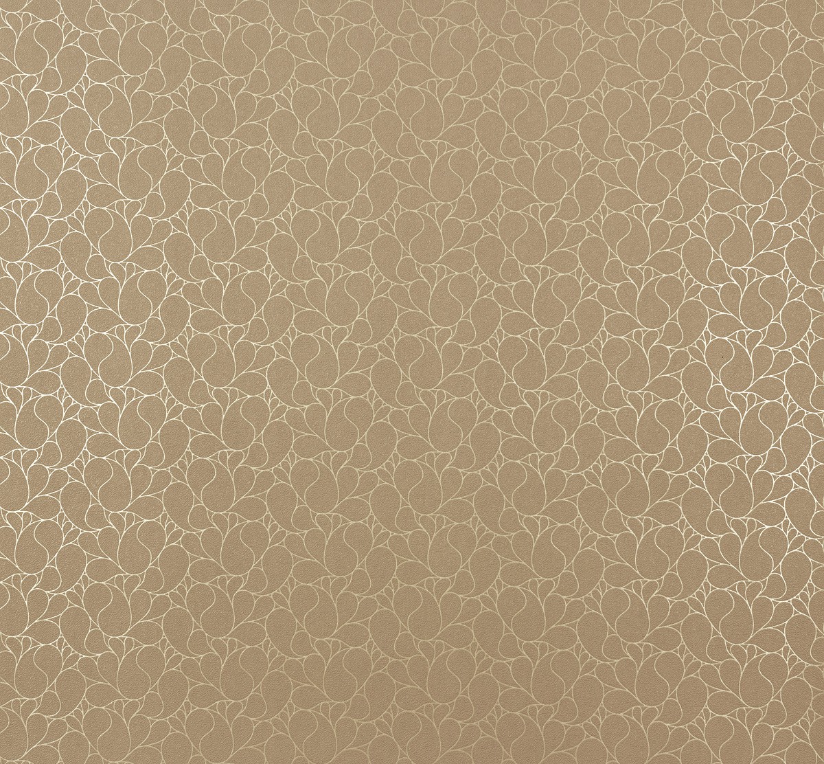 55419