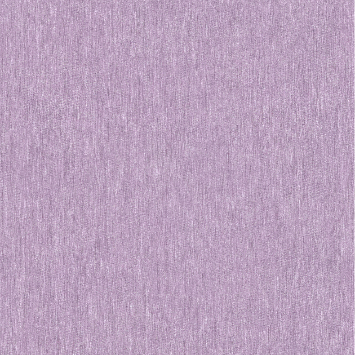02535-20