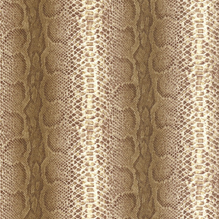 423129