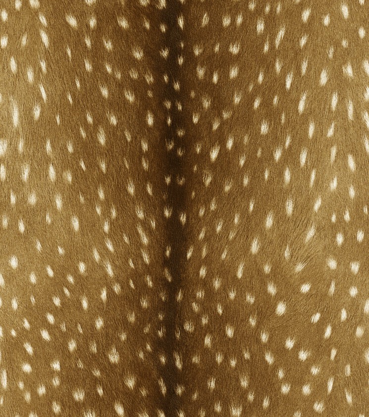 514827