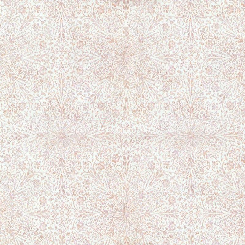 02481-20