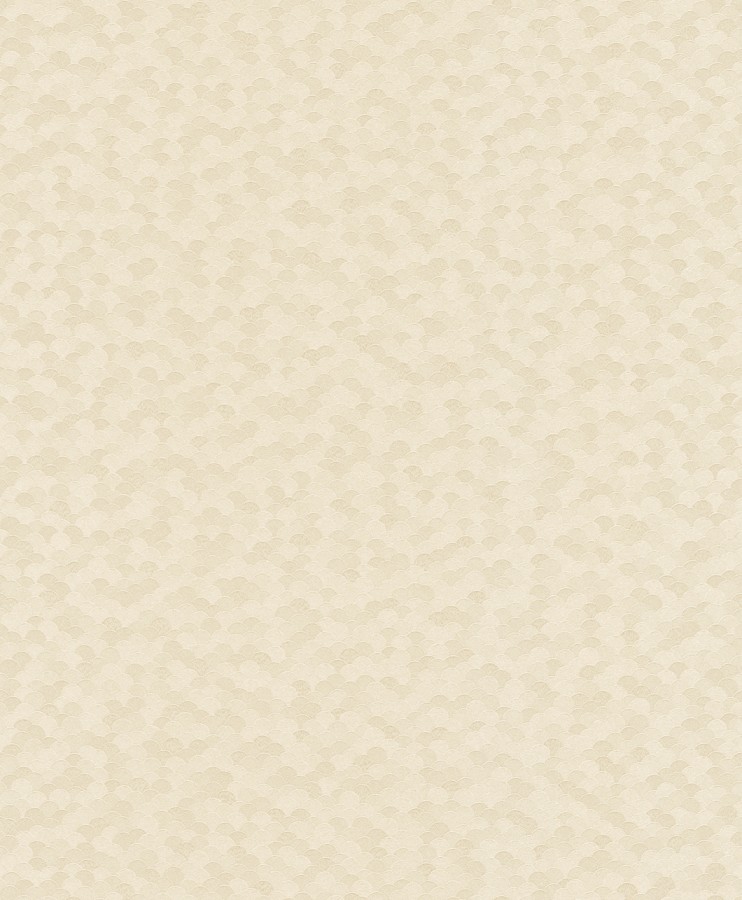 453416