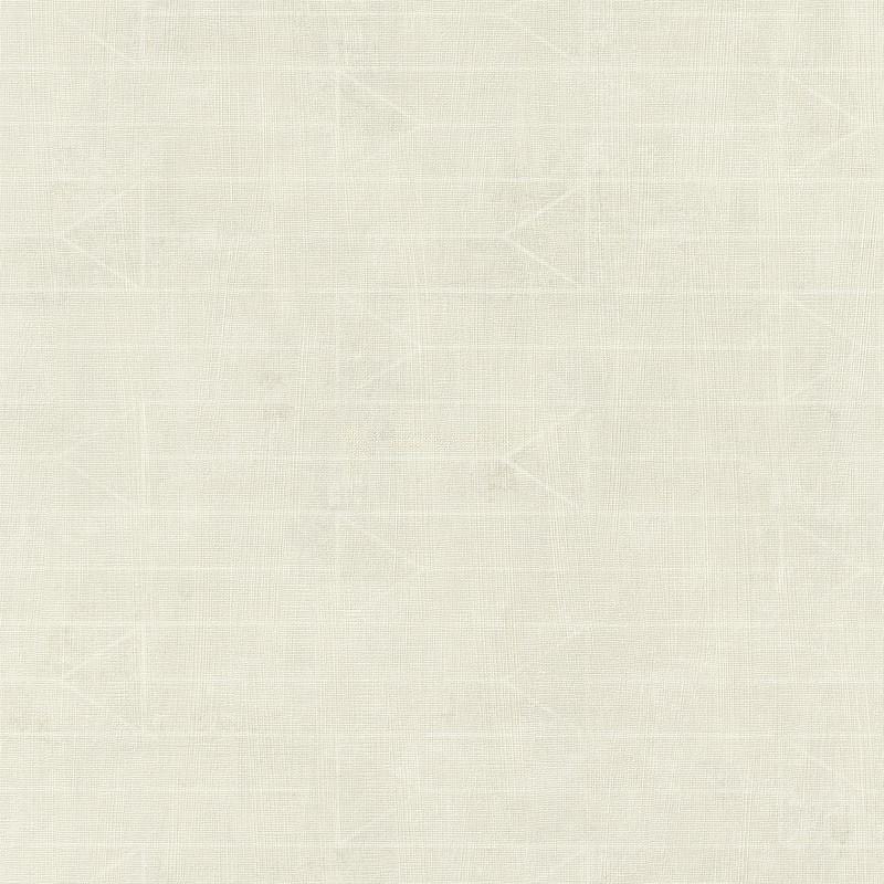 412031