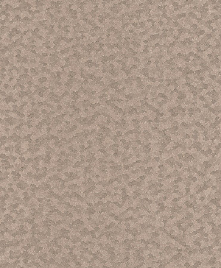 453423