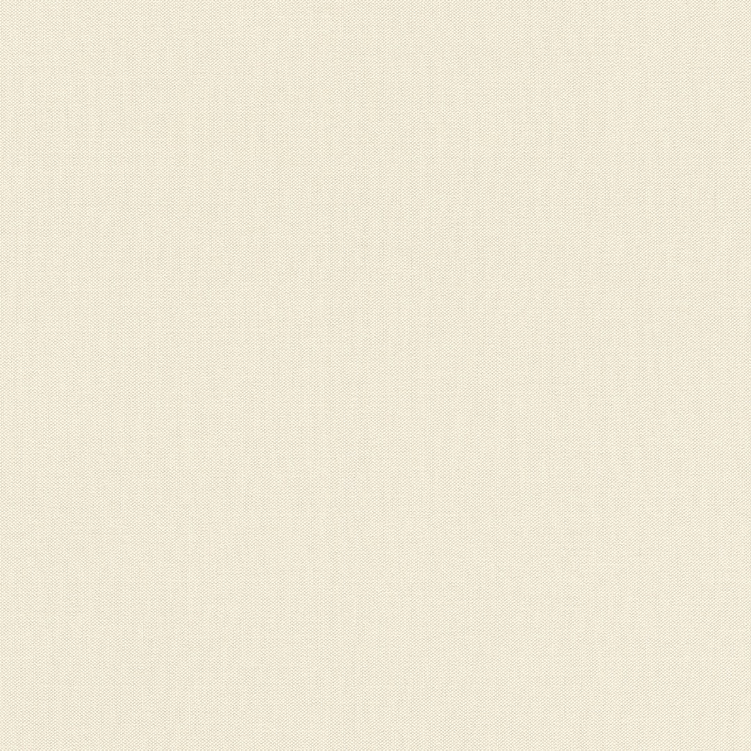 424041