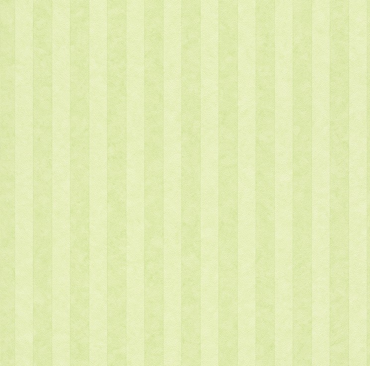 296204