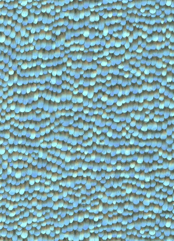 10129-08