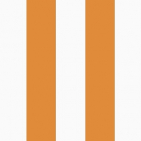 50507