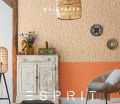 Esprit 13