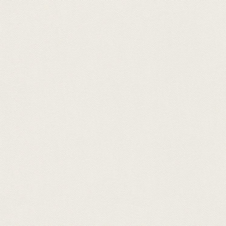 576061