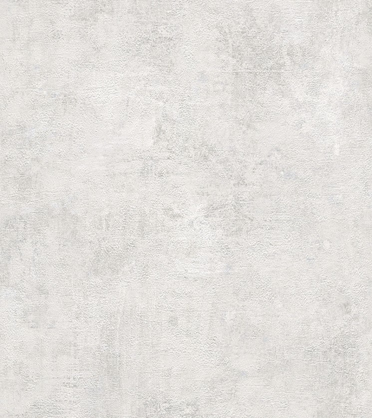 282405