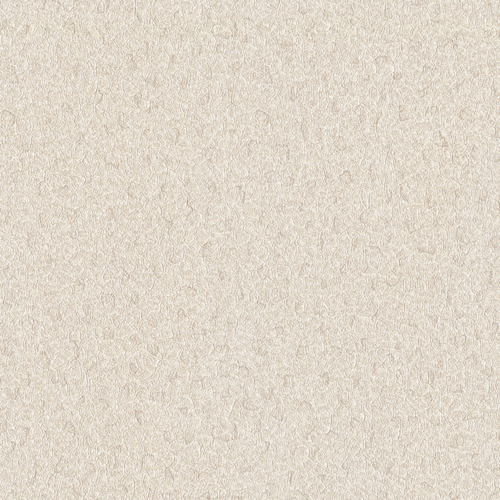 02523-20