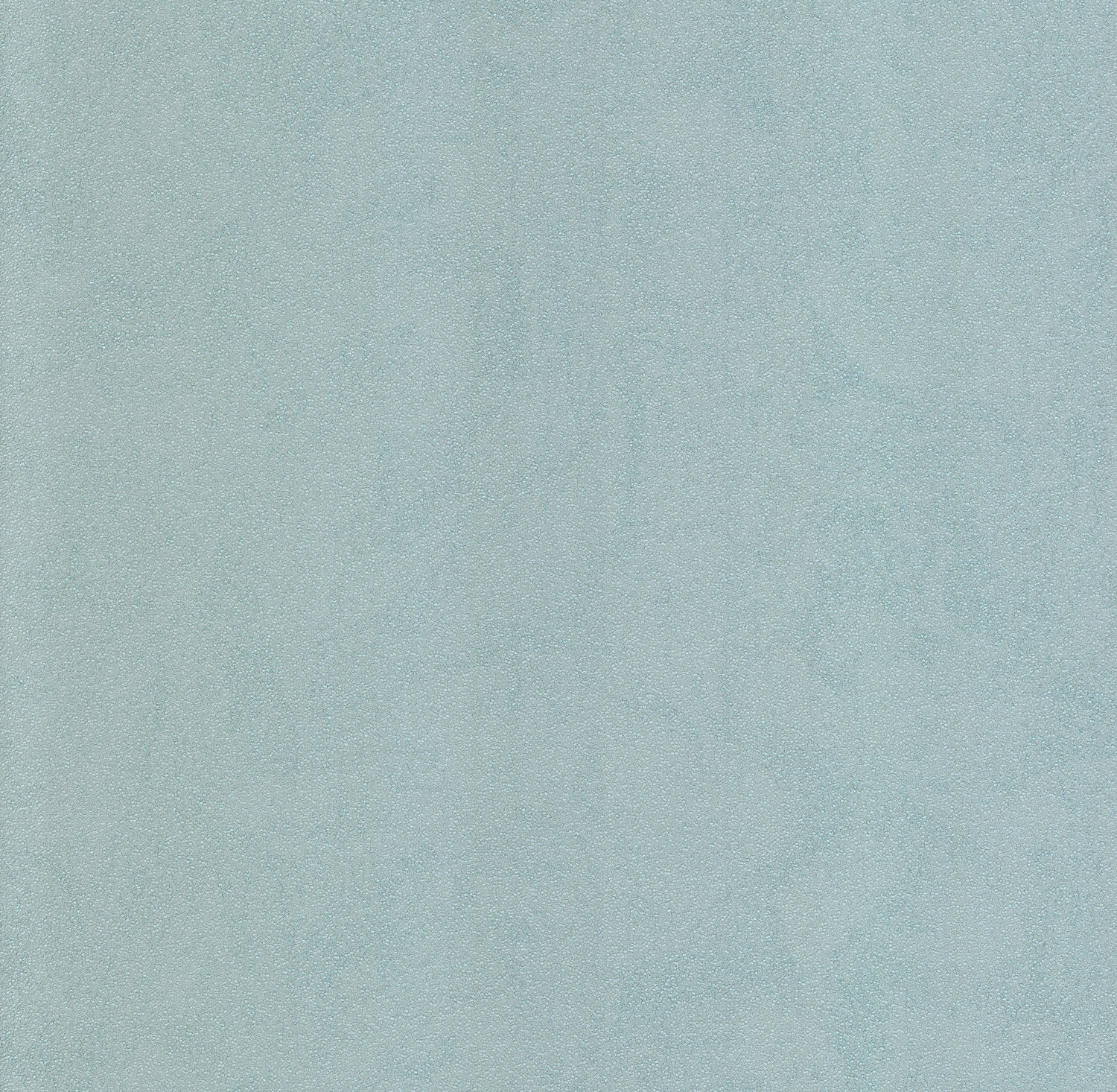 02555-12