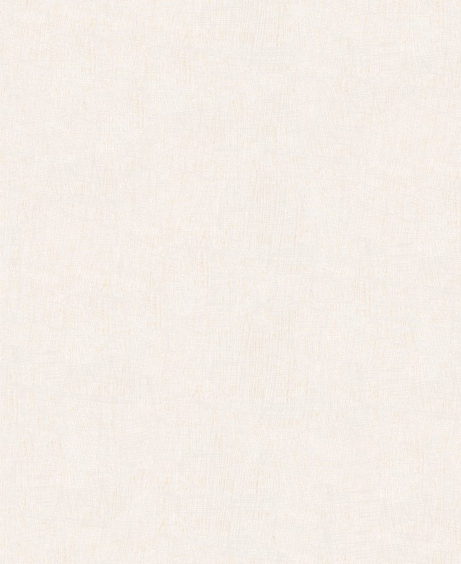 53123