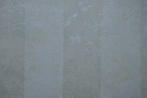 50619