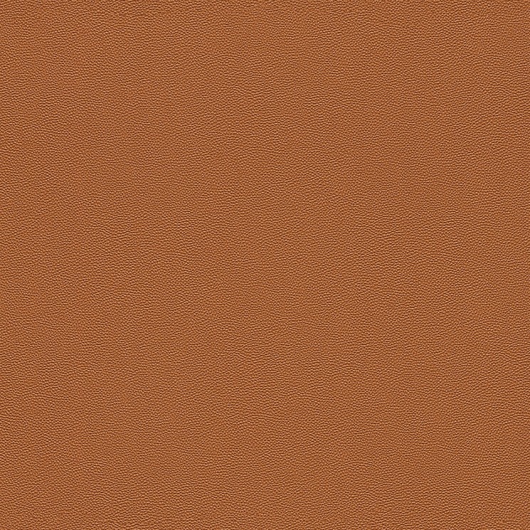 576009
