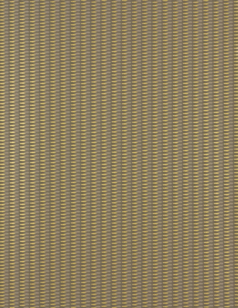 55041
