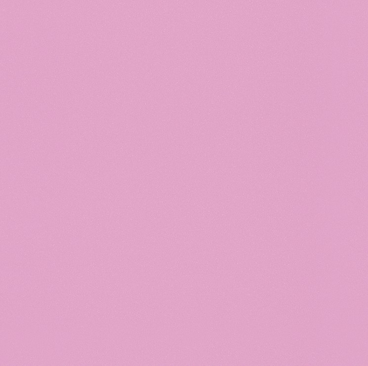 234503