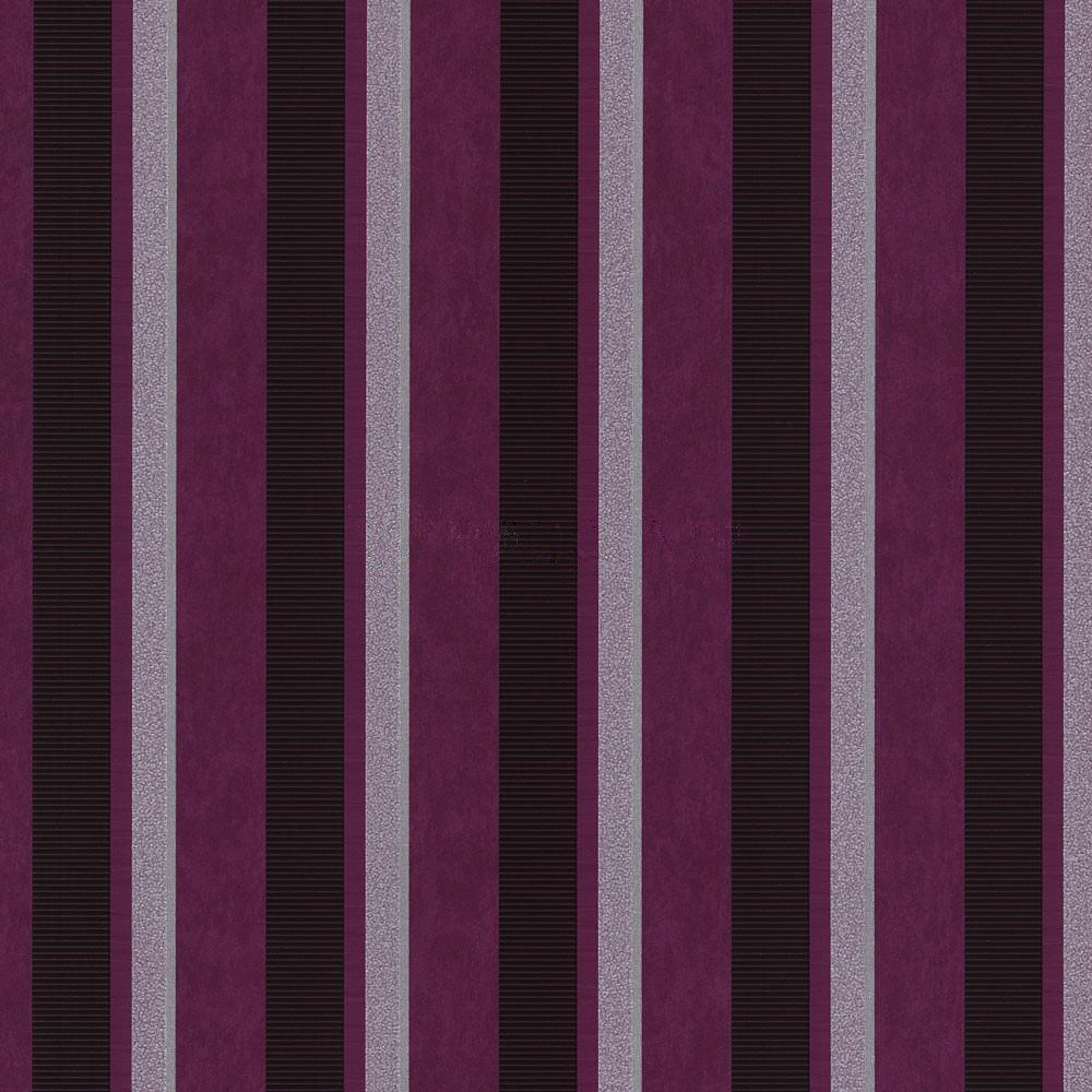 02421-52