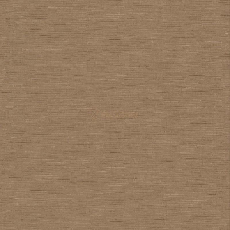 02504-80
