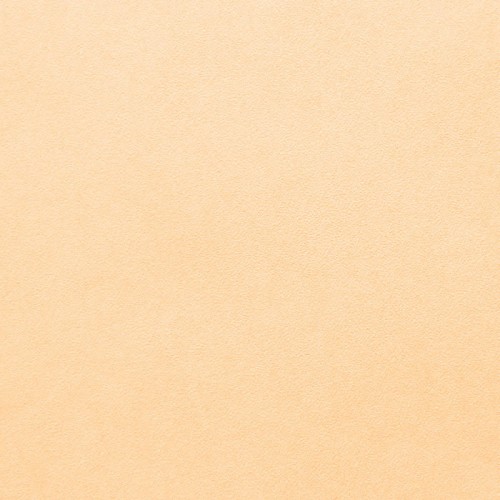 7292-02