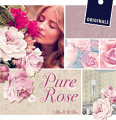 Pure Rose