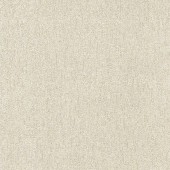 02425-20