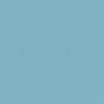 795929