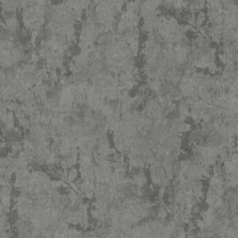 02462-20
