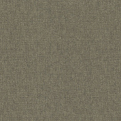 Rasch Maximum XIII 936643