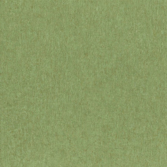 77849