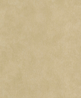 494785