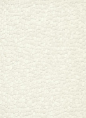 Erismann Paradisio 2 10129-14