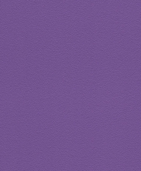 469080