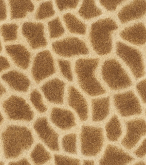 422801