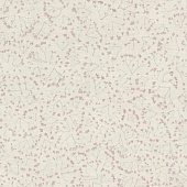 Rasch Gypso 700732