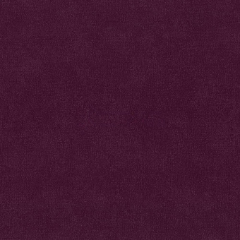 02331-10
