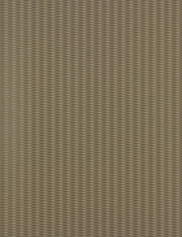 55031