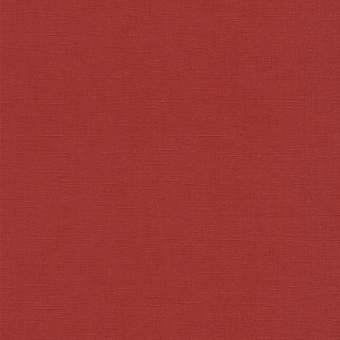 02505-20