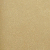 Marburg Astor 50905