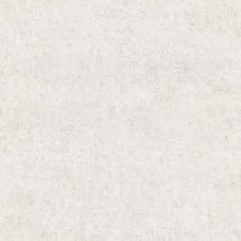 02464-40