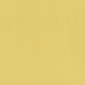 Rasch Hyde Park 411836